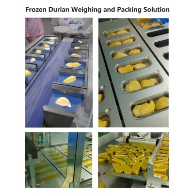 Frozen Durian Weighing and Packing Solution